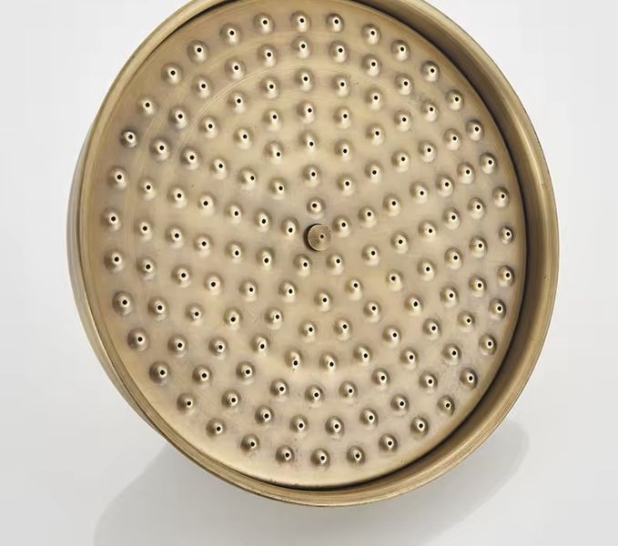 Лійка стельова Futura 2L для тропічного душу FUTURA 2L Bronze фото