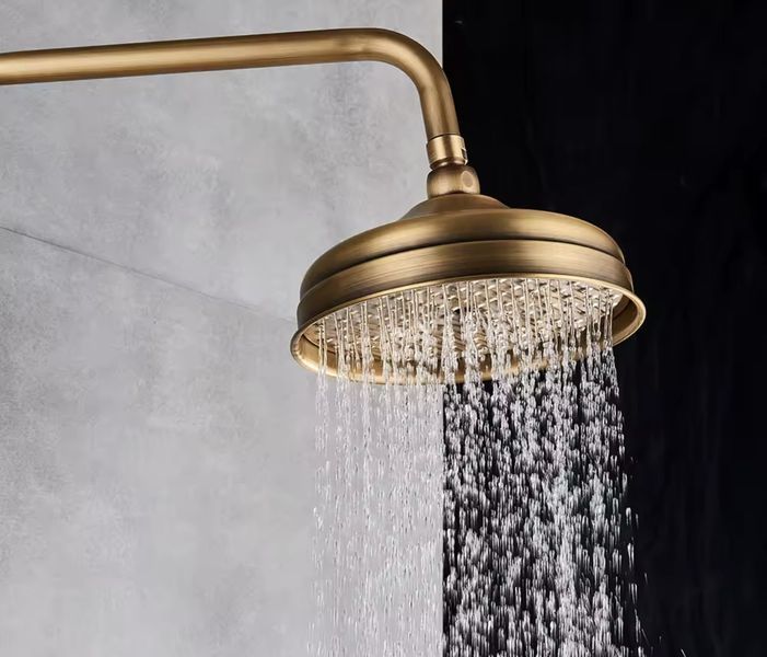 Лійка стельова Futura 2L для тропічного душу FUTURA 2L Bronze фото